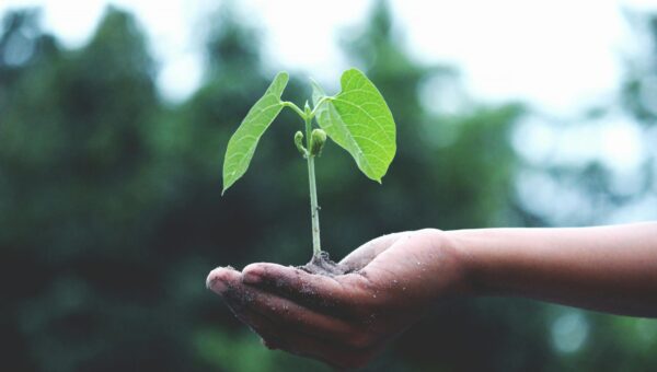 First Impact Update 2025 – adOpes Microleasing Fund