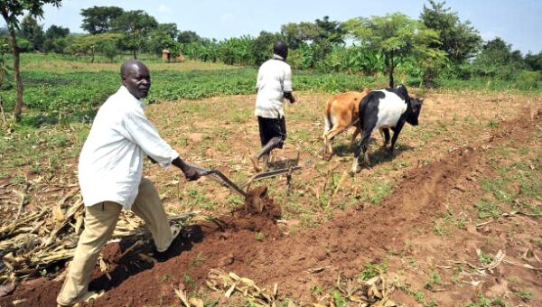 adOpes Microleasing Fund | 2025 in Numbers